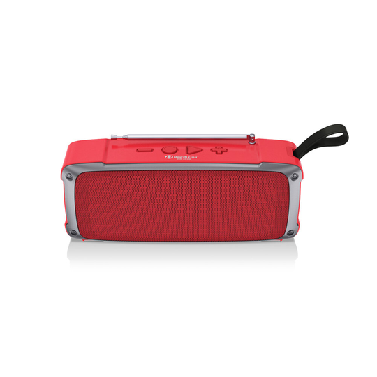 NewRixing NR-4020FM Datorljud Trådlös bluetooth Högtalare Bärbar Mini Vard Subwoofer Uppladdningsbar TWS Anslutning