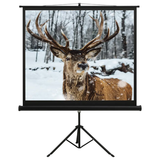 vidaXL Valkokangas jalustalla 57" 16:9