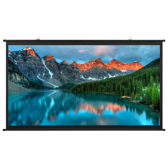 vidaXL Valkokangas 120" 16:9