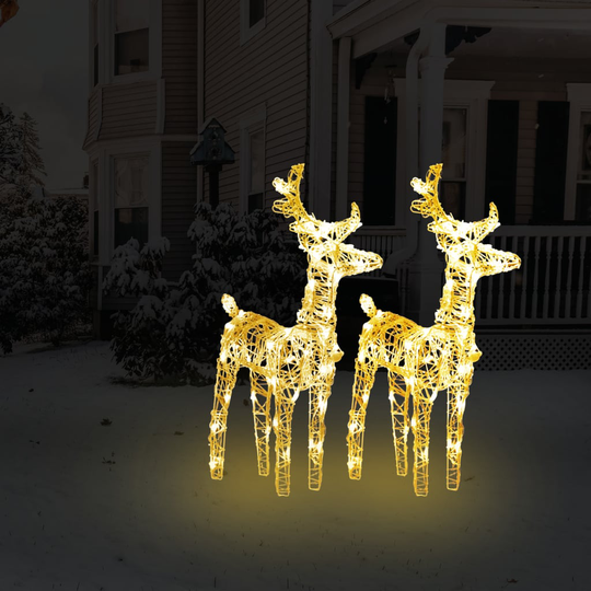 vidaXL Jouluporot 2 kpl lämmin valkoinen 80 LED-valoa akryyli
