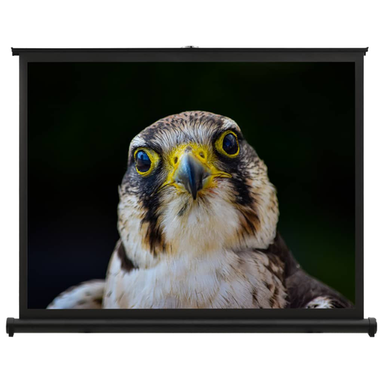 vidaXL Valkokangas työpöydälle 40" 4:3