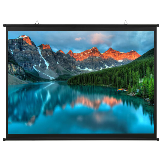 vidaXL Valkokangas 57" 1:1