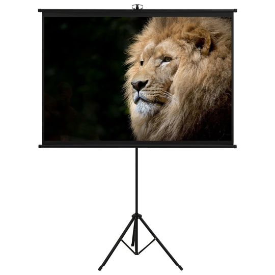 vidaXL Valkokangas jalustalla 47" 1:1