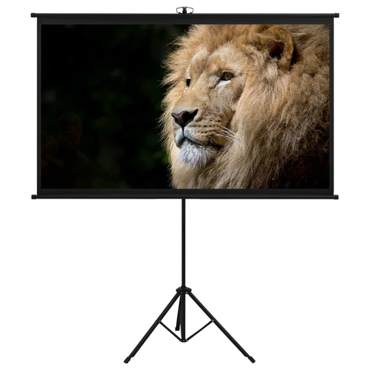 vidaXL Valkokangas jalustalla 60" 16:9